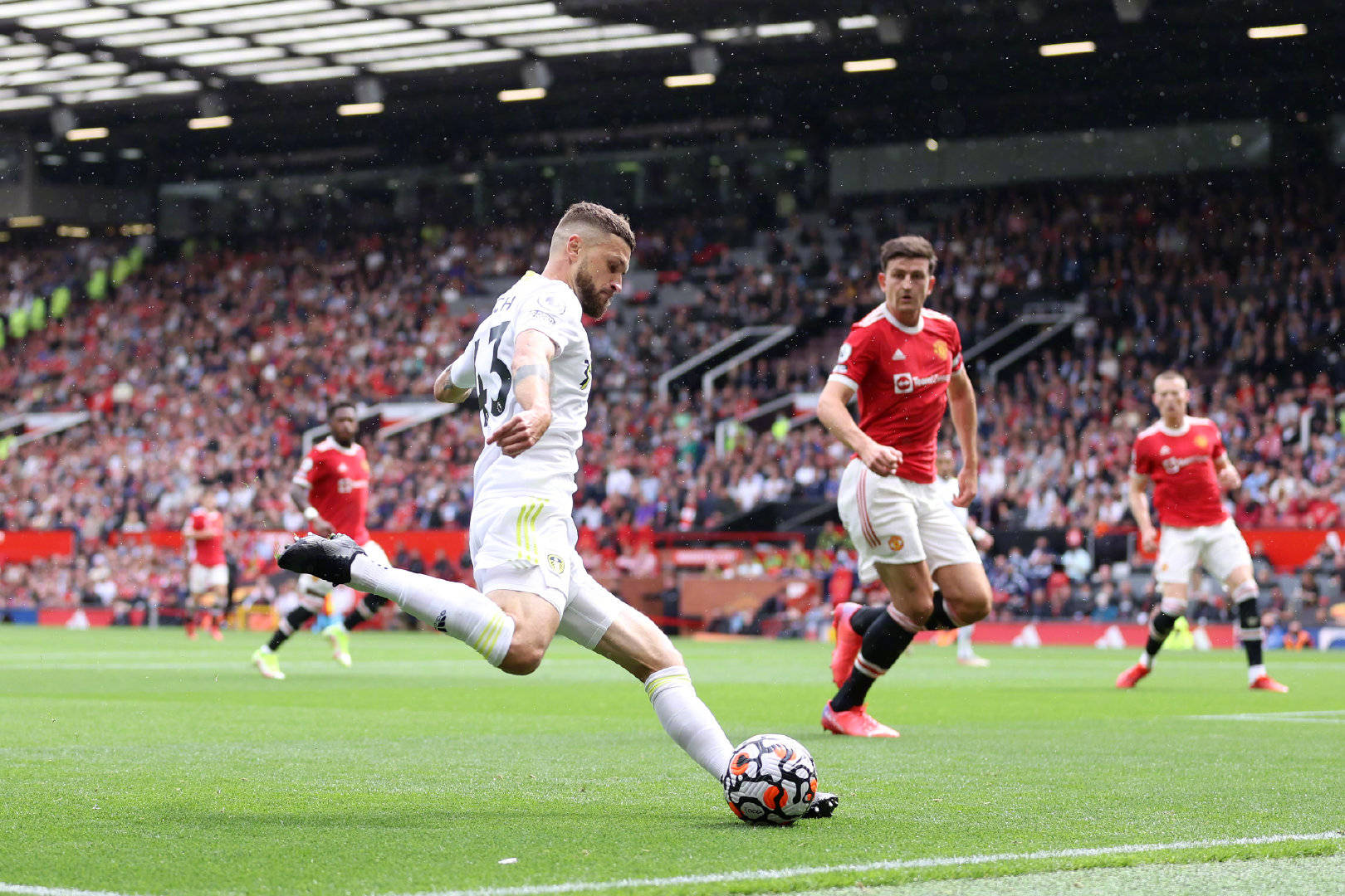 不可或缺的 不可或缺的